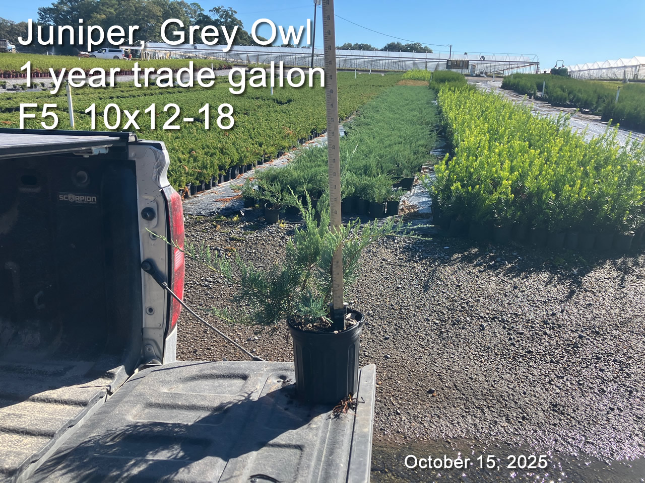 gallery/jgo1yt f5 oct15.jpg